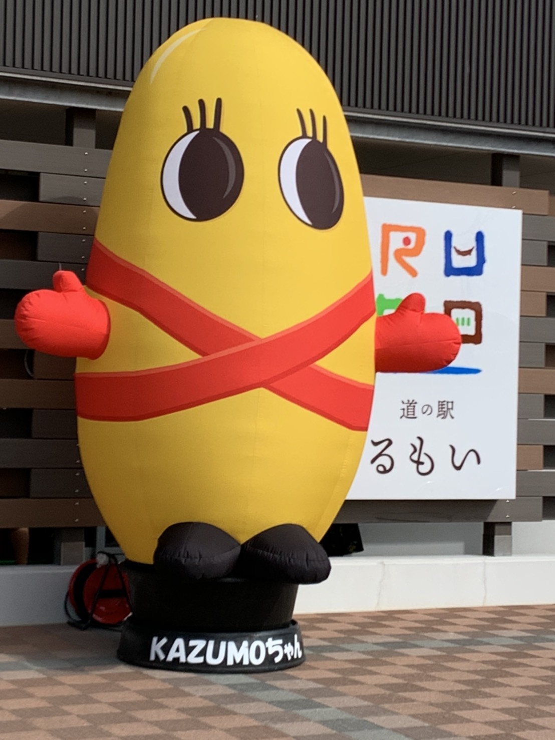 ファイル 2199-1.jpg